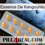 Kangaroo Essence 44